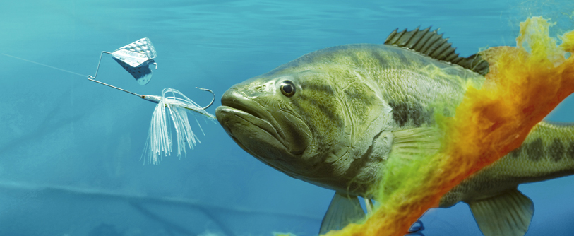 business lead generation