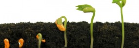 Lead Nurturing