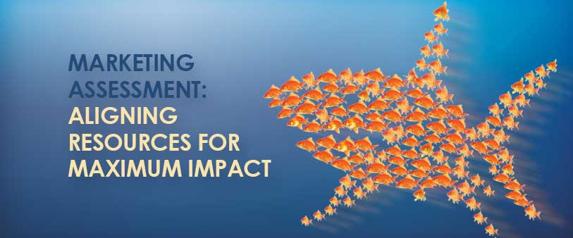 Marketing Assessment: Aligning resources for maximum impact